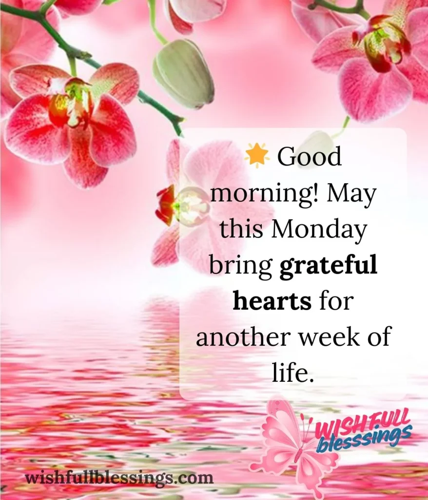 monday-blessing-for-gratitude