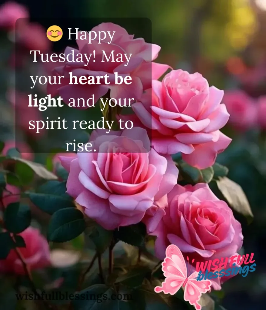 tuesday-blessings-for-lightness-and-joy