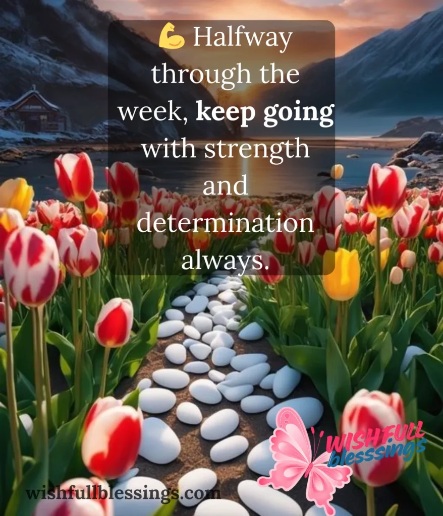 wednesday-blessings-for-perseverance